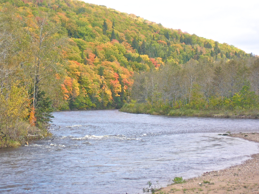 The Northeast Margaree River