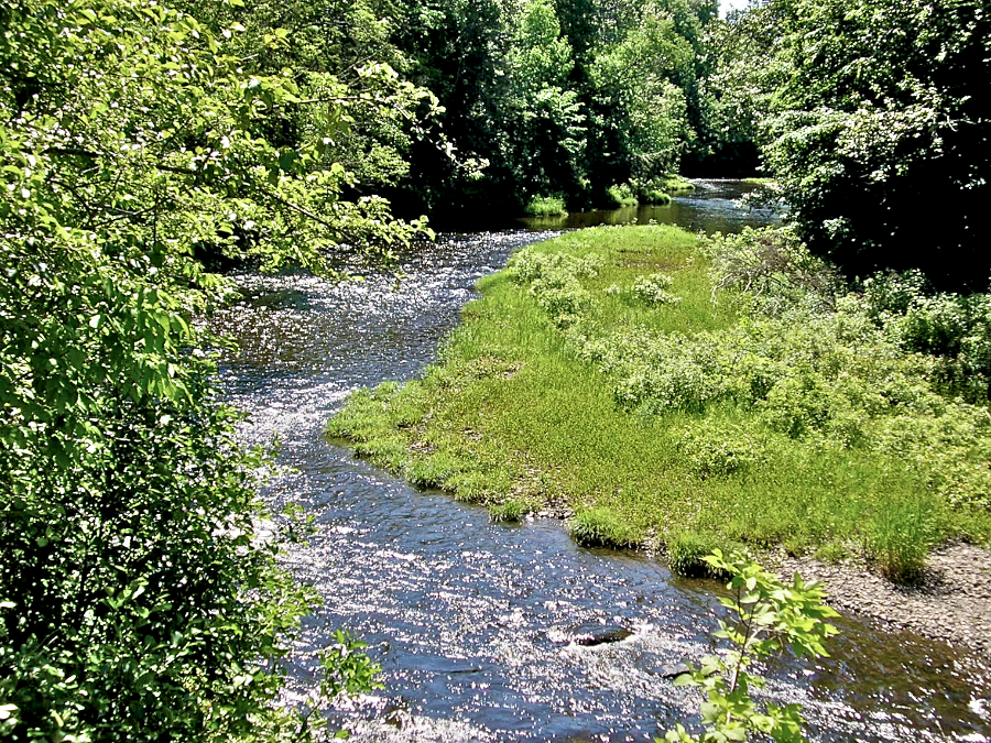 View upstream from Murrays Bridge