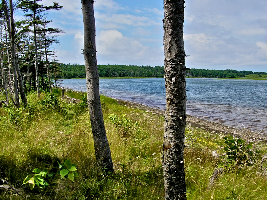 Whale Cove from near Sams Point