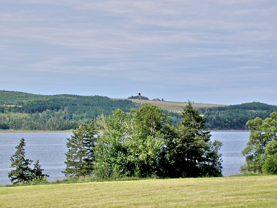 Eagle Surveys the Mabou River