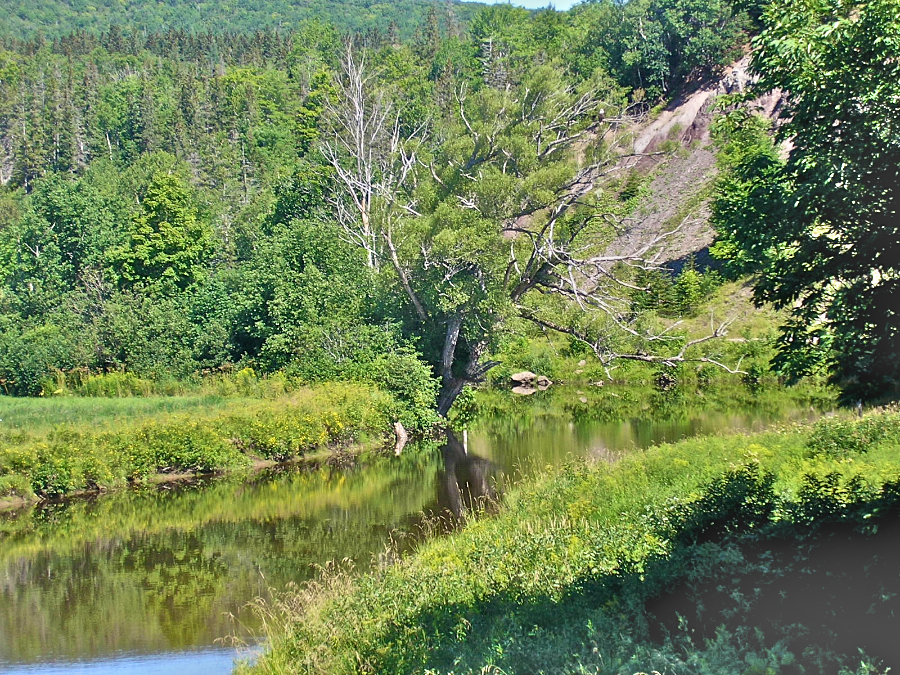 View downstream from the Railway Trail’s steel bridge