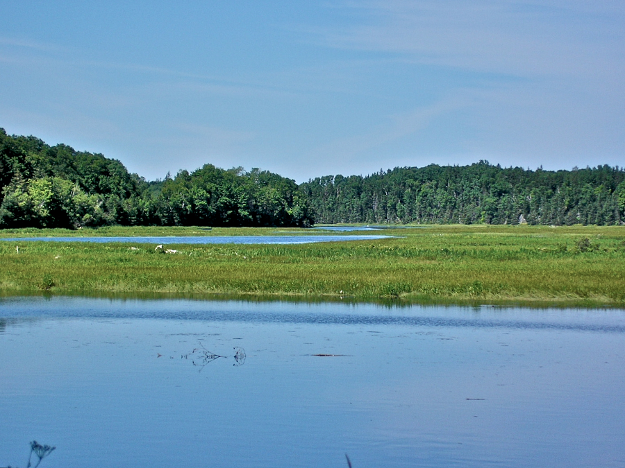 Meanders of the Mabou from the Railway Trail