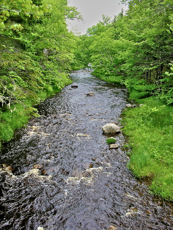 Graham River from the Campbell Road in Judique South