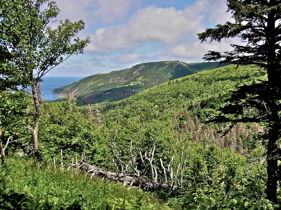 View from the MacPhee Trail Look-off