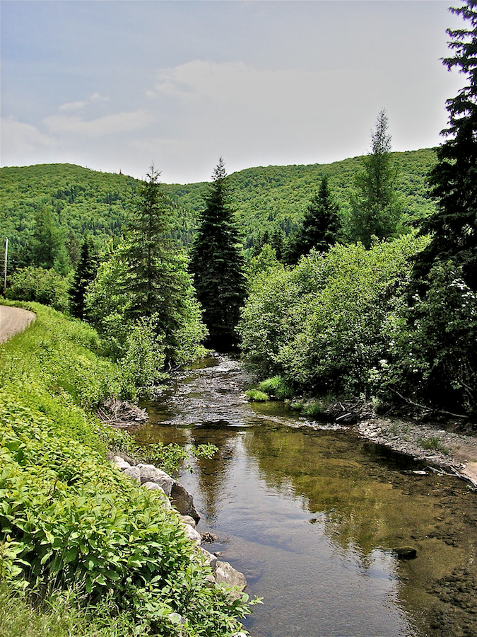 Indian River from the Roseburn Road