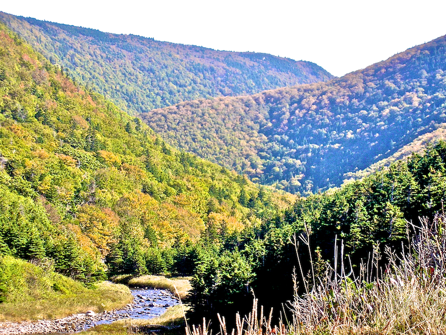 Fishing Cove River Valley