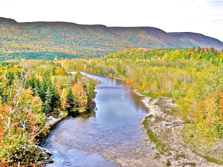 Northeast Margaree River