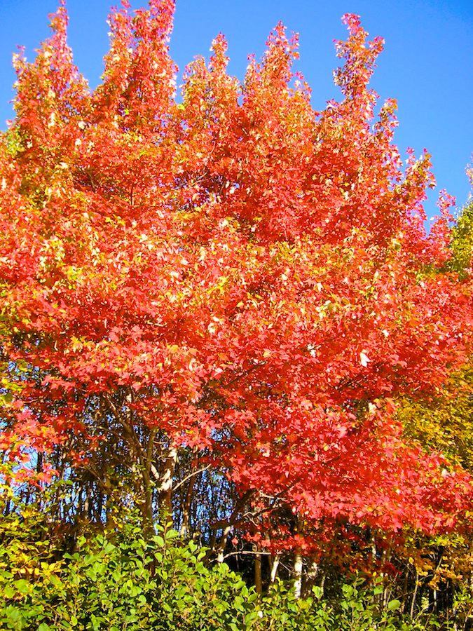 Northeast Mabou Road just off the Mabou Harbour Road