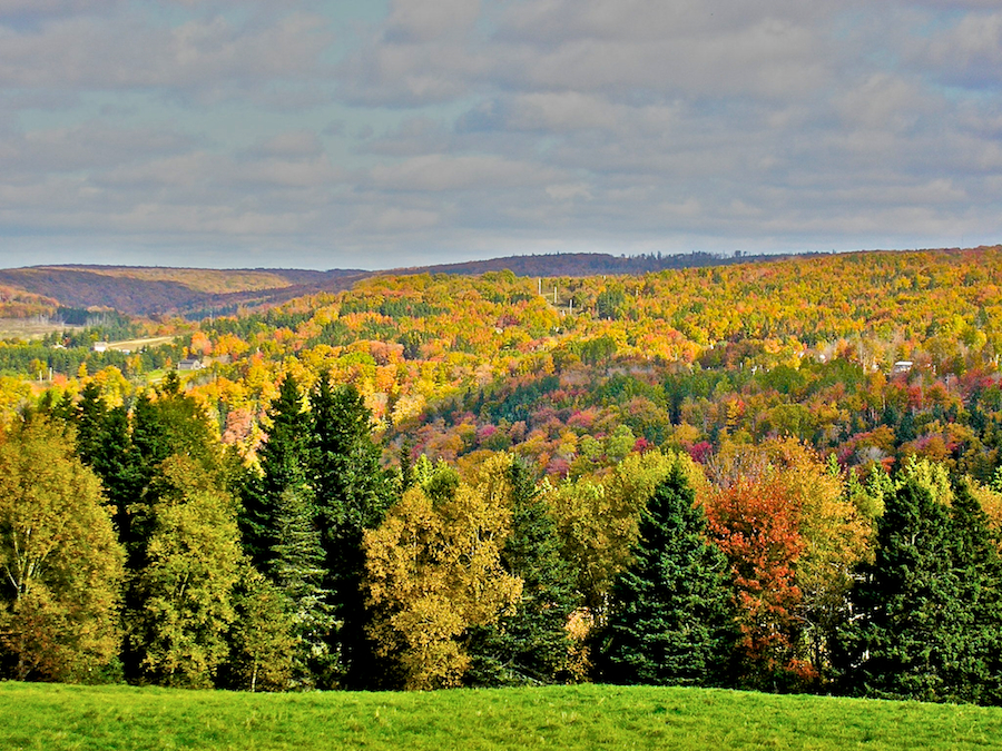 View from the Mull River Road