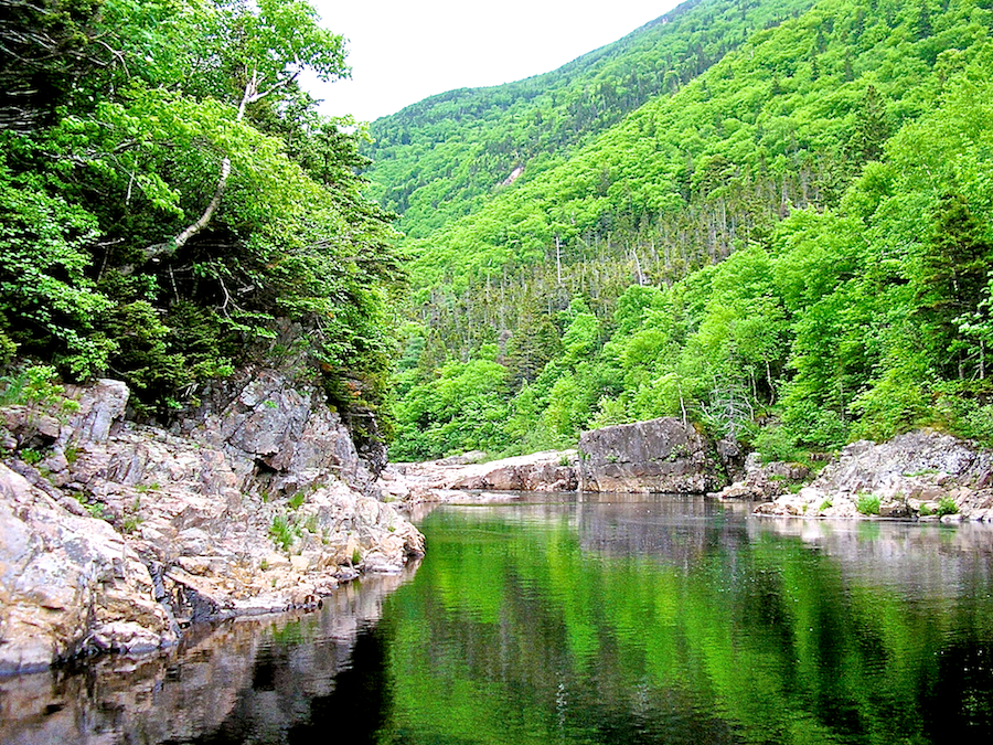 The First Pool