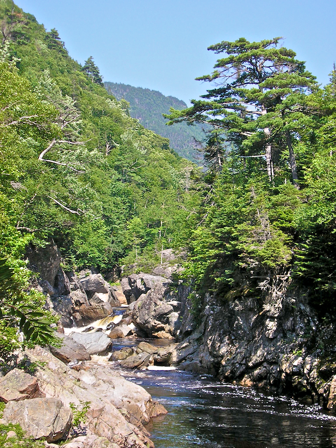 View downriver at the Third Pool