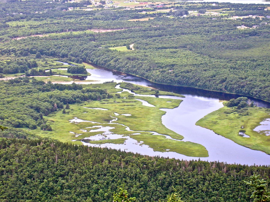 The Chéticamp River Estuary