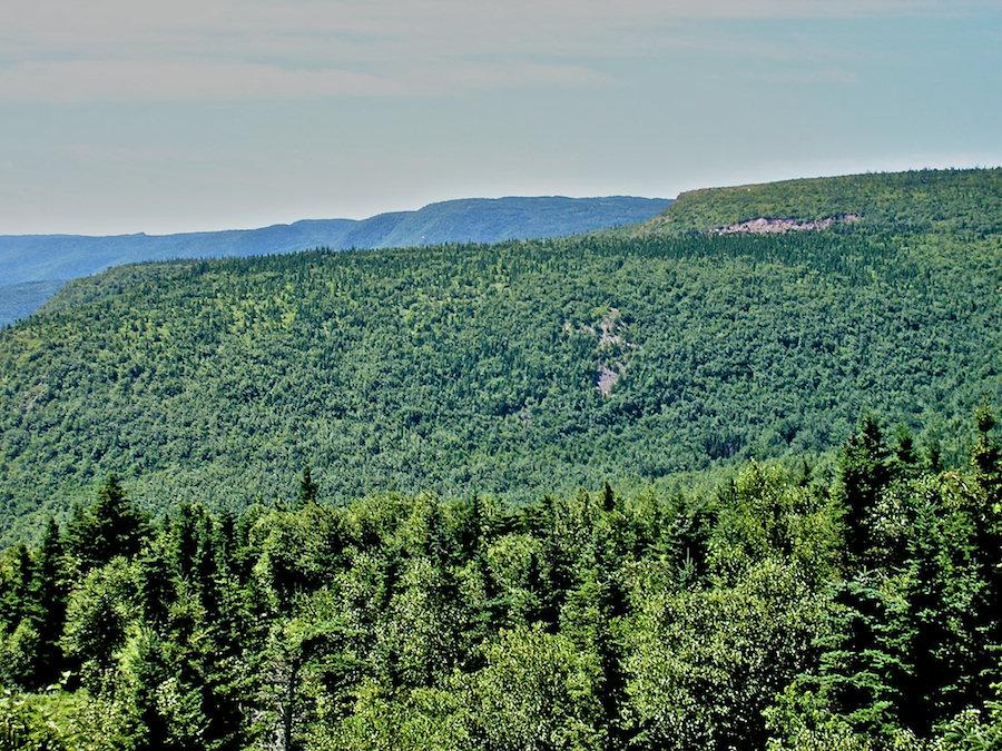 Coastal Mountains from the fourth look-off