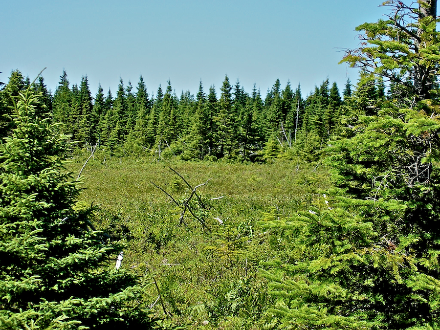 Cape Smokey Plateau