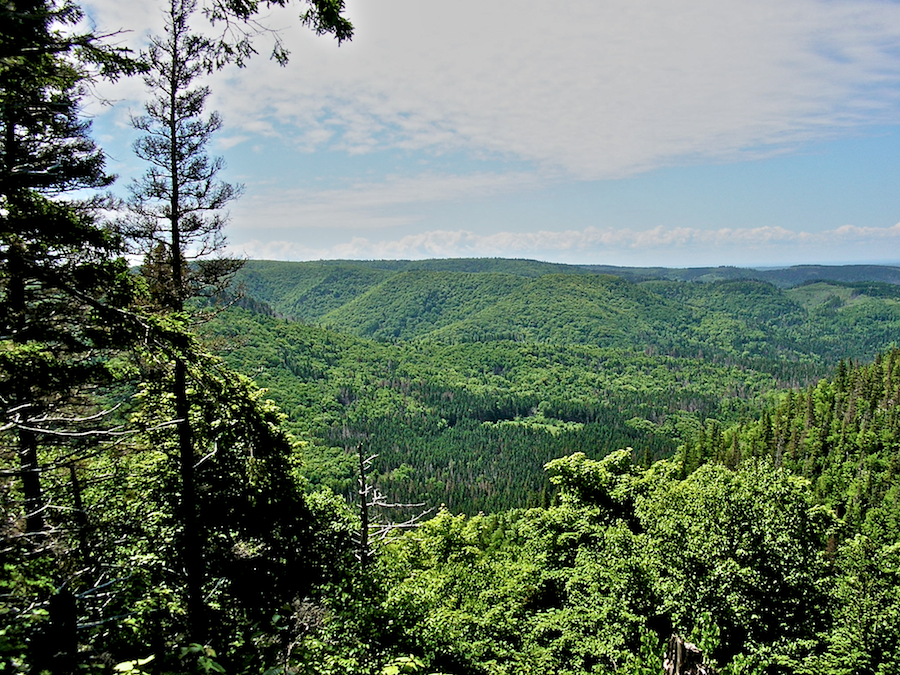 Cape Mabou Highlands from the Beaton Trail