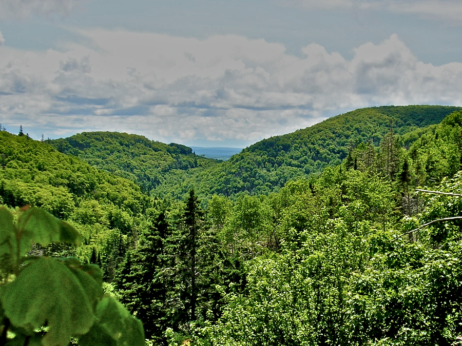 Cape Mabou Highlands from the MacDonalds Glen Road