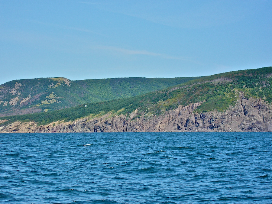 Cape Mabou Coast south of MacKinnons Brook Mouth