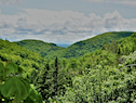 Cape Mabou Highlands from the MacDonalds Glen Road