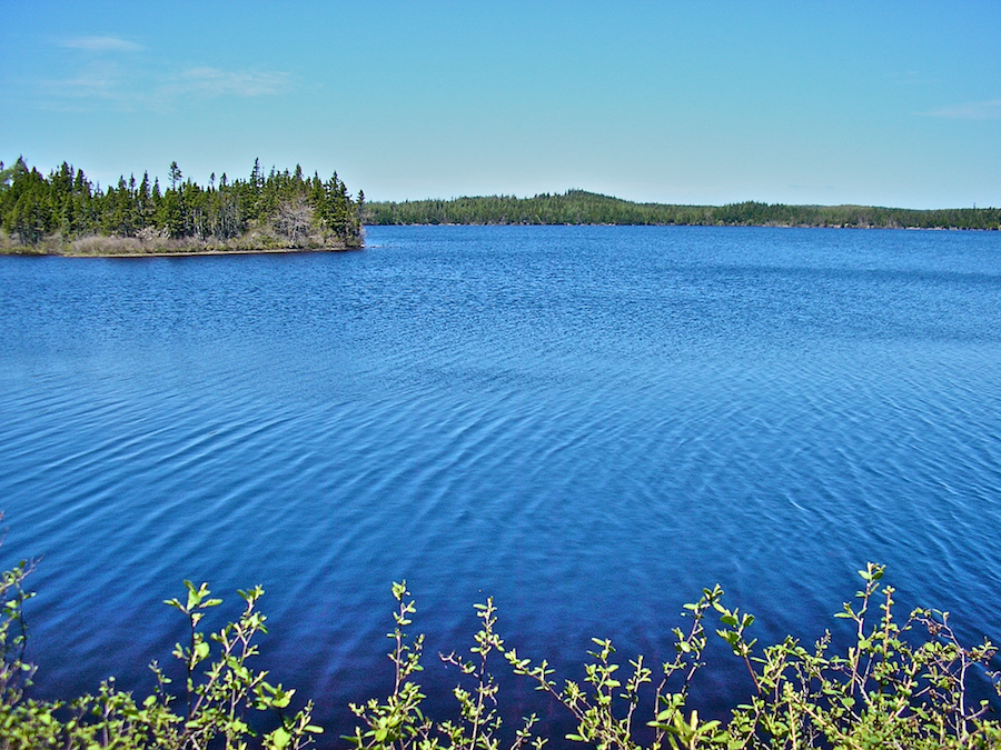 Fergusons Lake