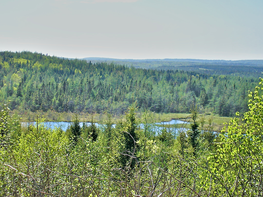 Terrain from the Grand Mira-Gabarus Road