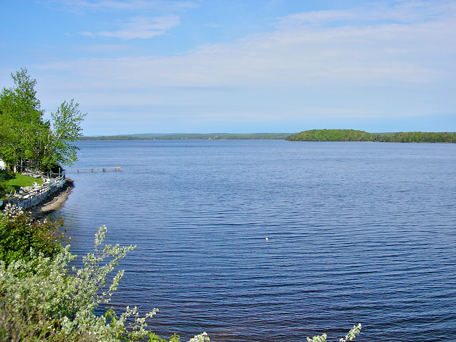 Mira River from the Trout Brook Road