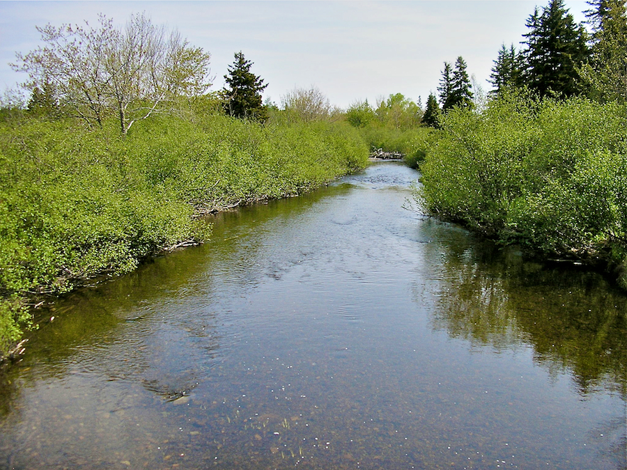 Trout Brook