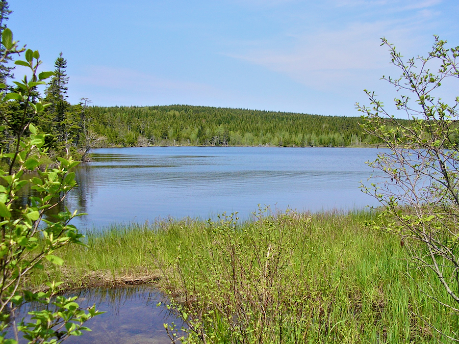 MacArthurs Lake