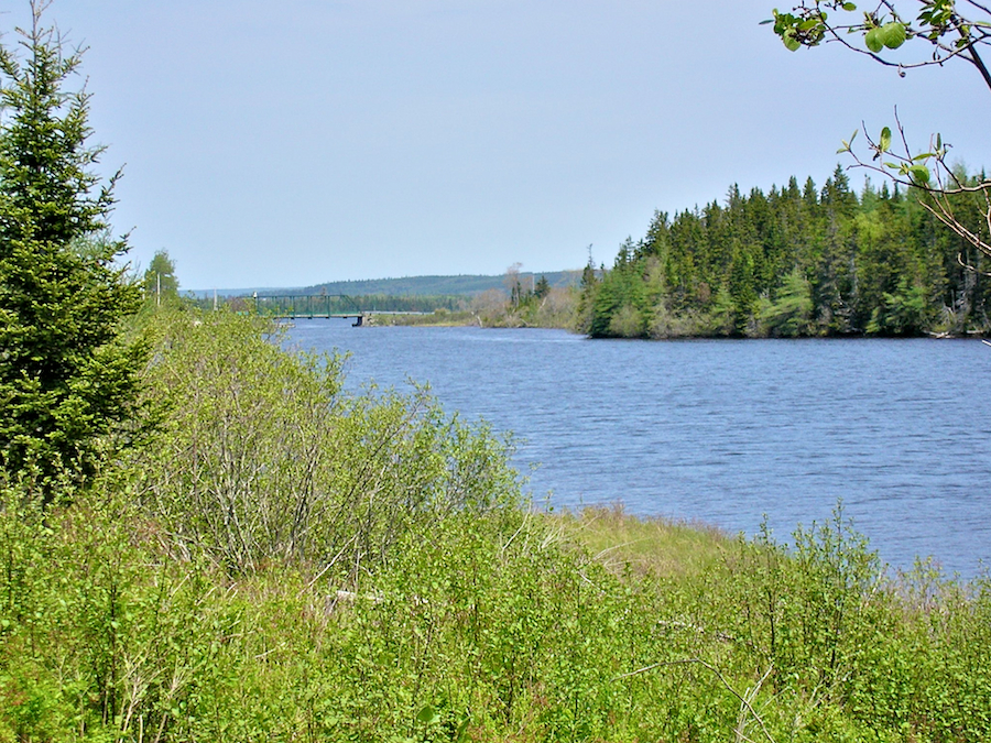 Mira River (Walkers Lake) south of Victoria Bridge