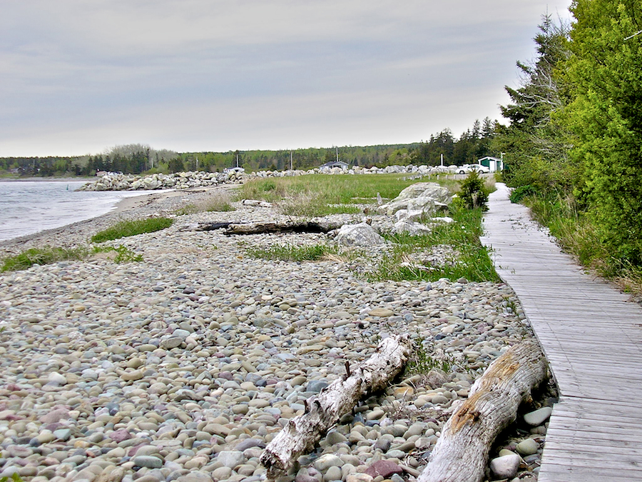 Mouth of the Mira River