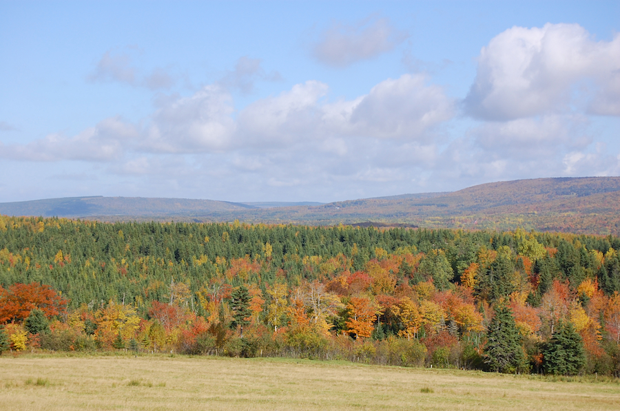 View from Foot Cape Road