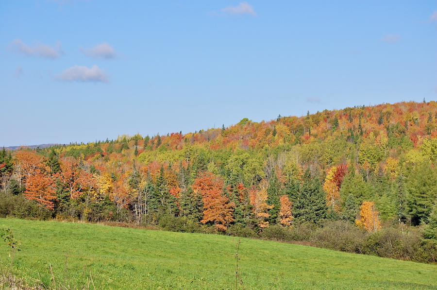 View from the Upper Glencoe Road