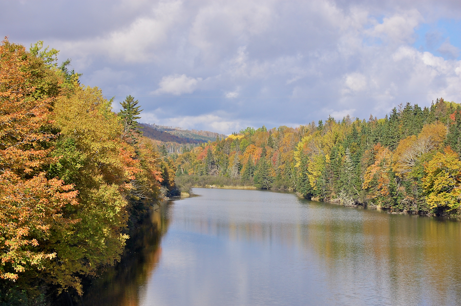 Middle River near Wagmatcook