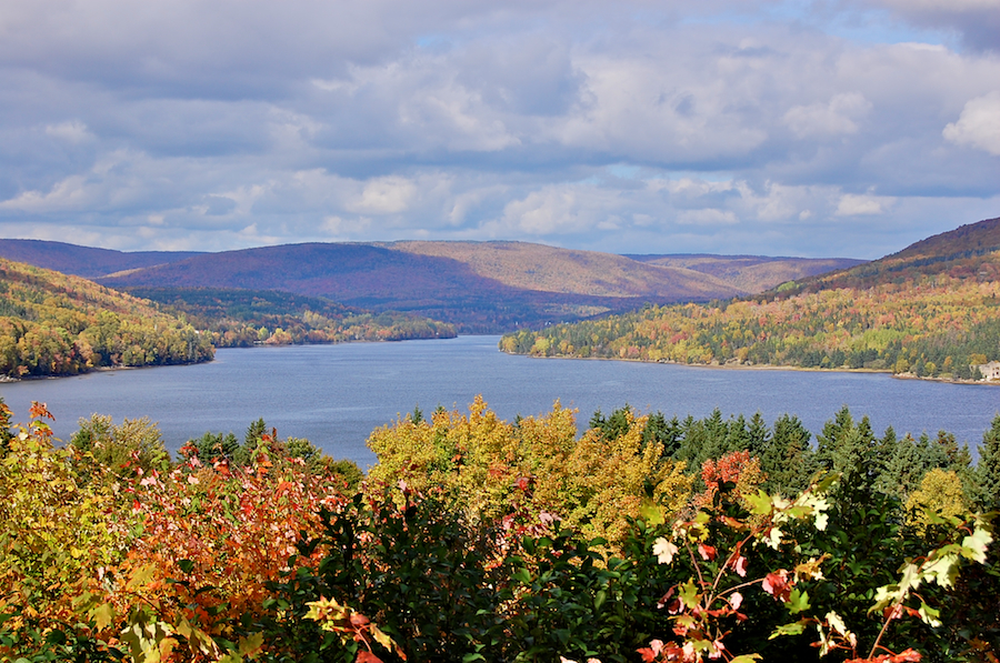 Vista from Saint Anns