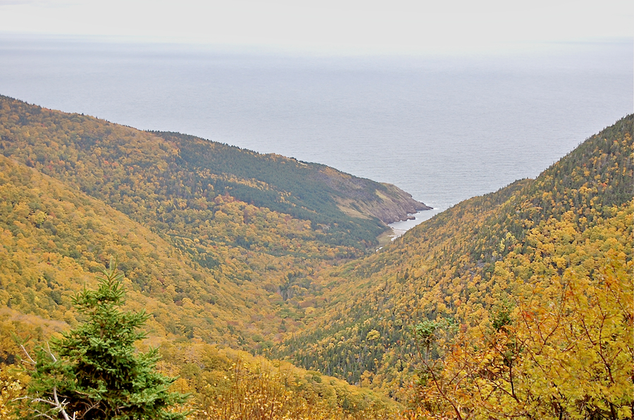 Fishing Cove River Valley