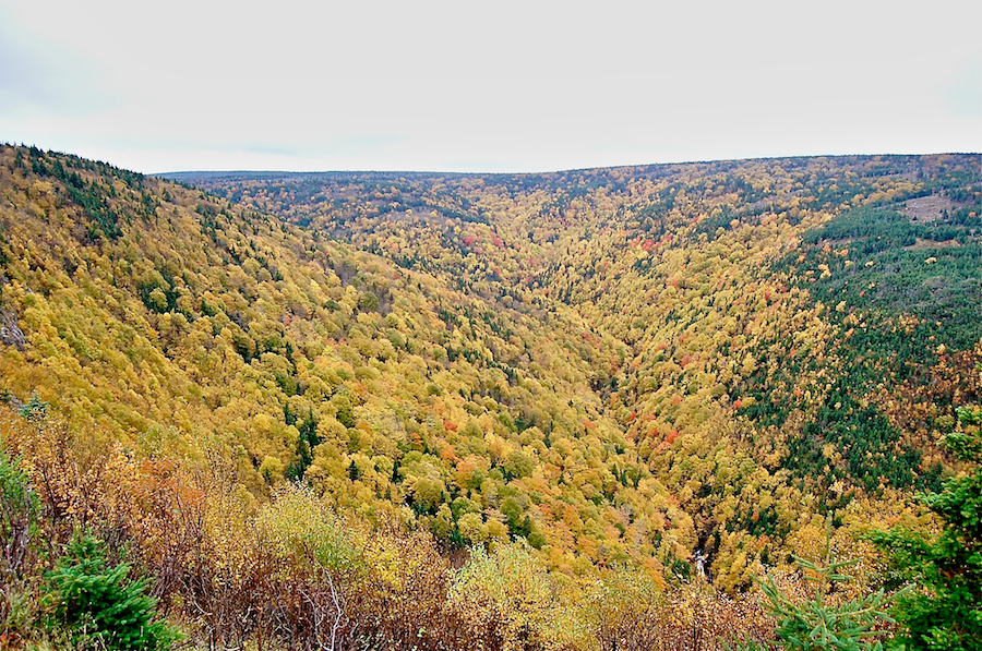 Fishing Cove River Valley