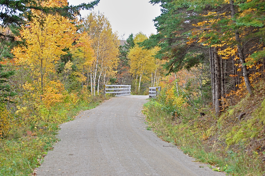 The Railway Trail in 2008