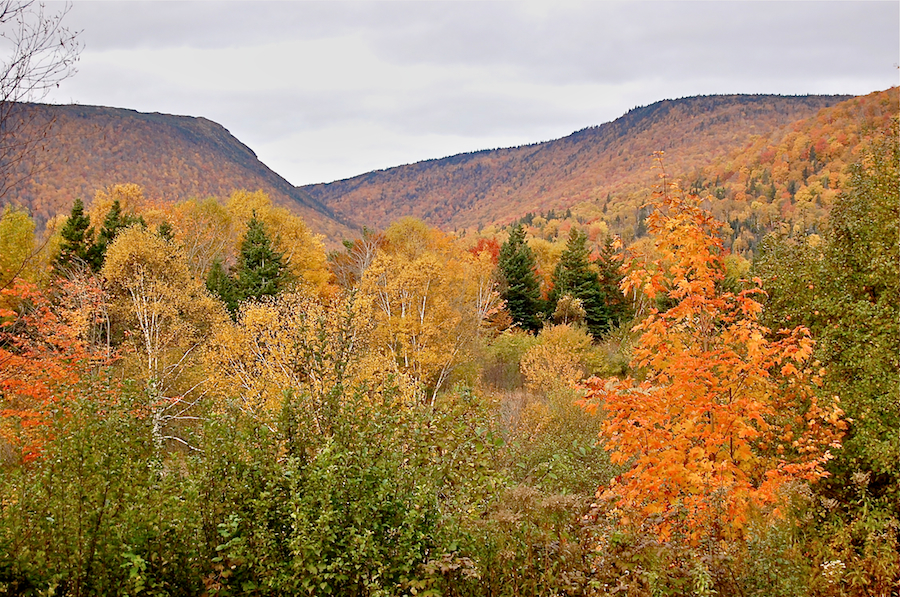 View from the Oregon Road