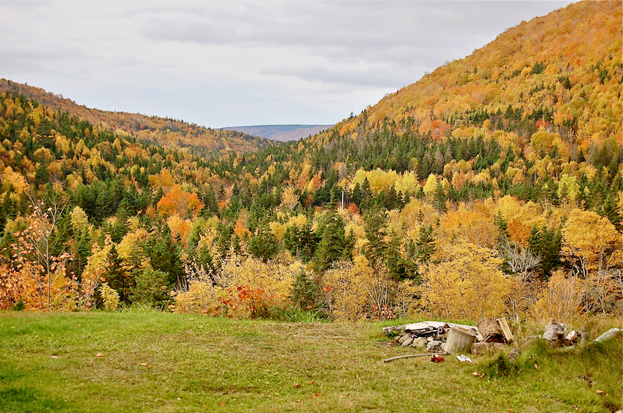 View from the Rear Barachois Road