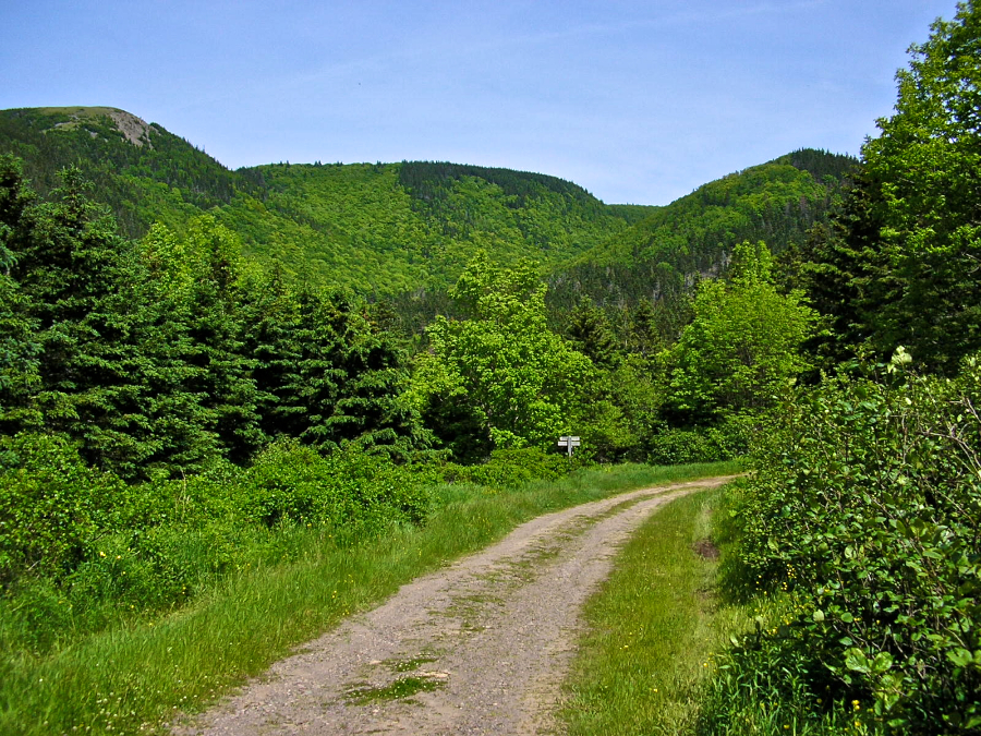 The Cape Mabou Highlands above MacKinnons Brook Lane