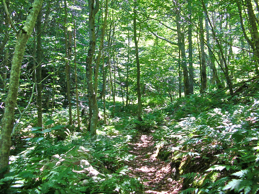 Along the Trap à Mhathain (Bear Trap) Trail