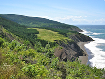 The Meadows and the Coast from the MacKinnons Brook Trail