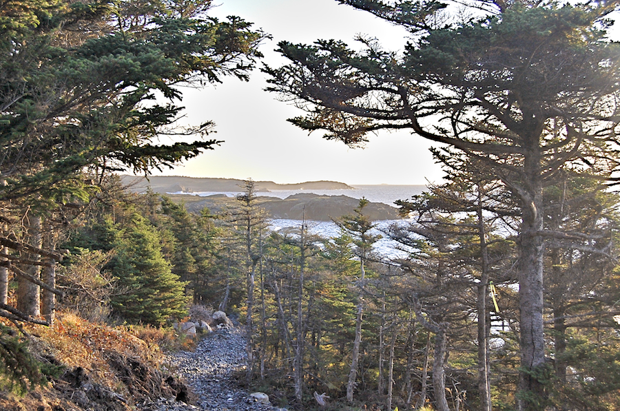 Looking east from the Lighthouse Trail