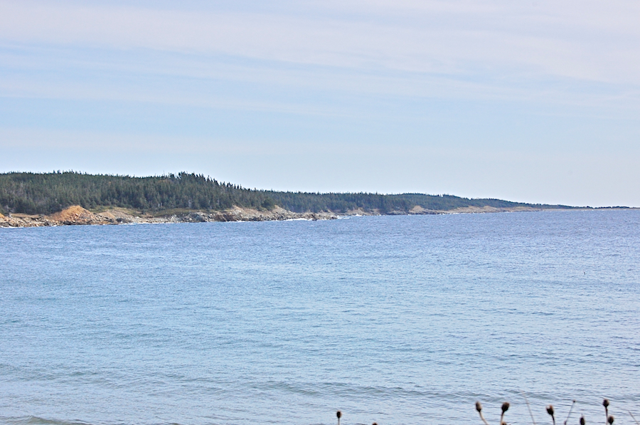 Shore east of Kennington Cove