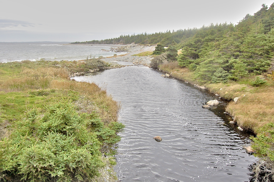 Brook and shore at Simons Point