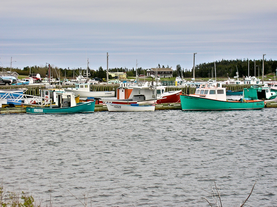 Boats in Main-à-Dieu Harbour