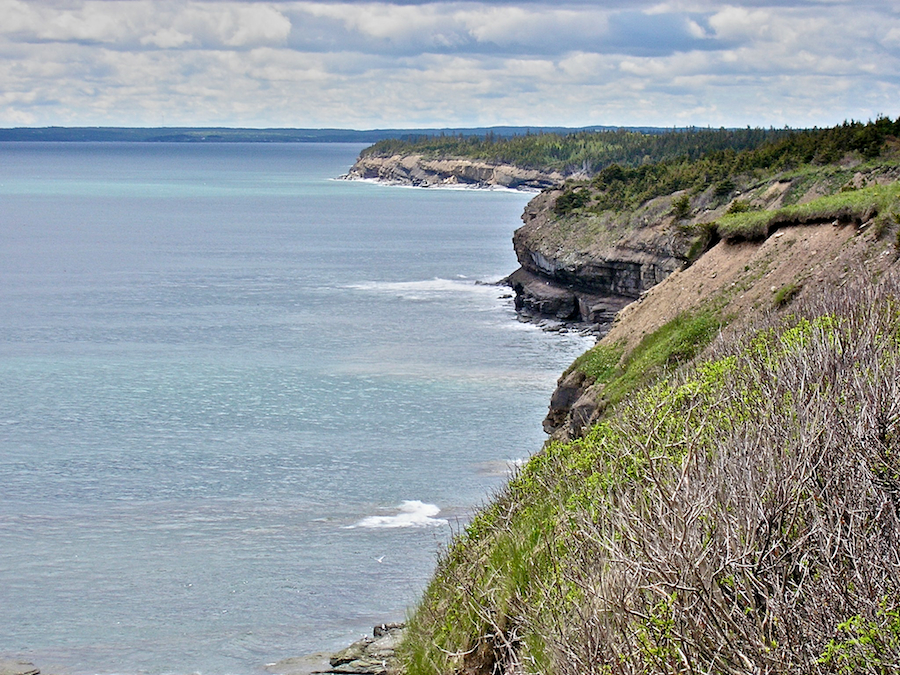 Cliffs north of Waddens Cove