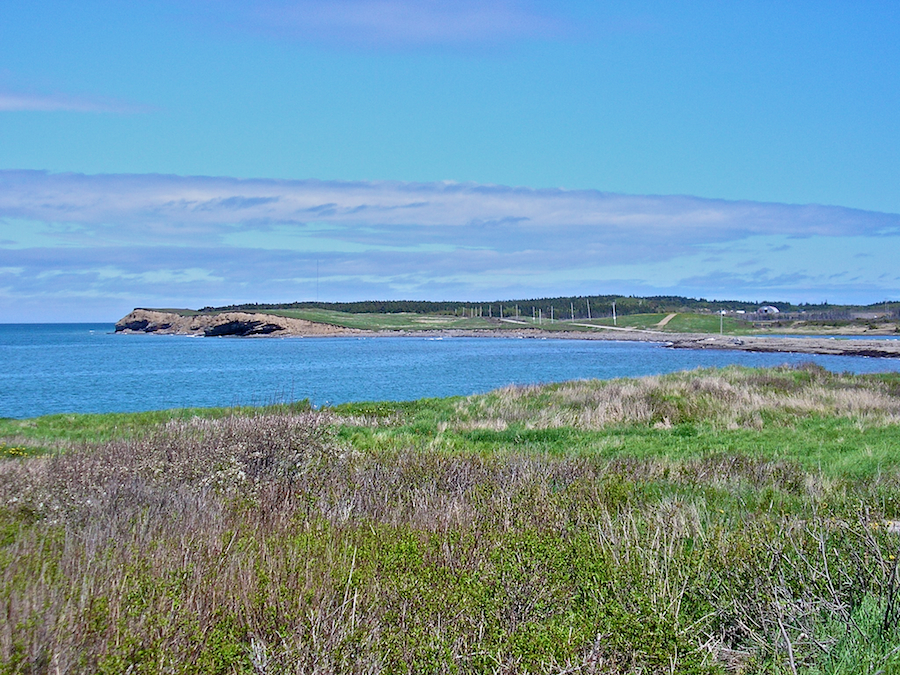 Schooner Pond Cove and Schooner Pond Head