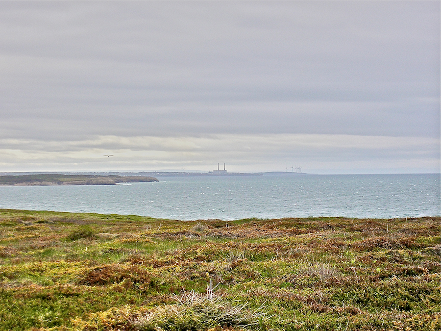 Coast West of Schooner Pond Head