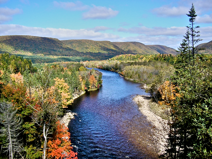 The Northeast Margaree River south of Portree