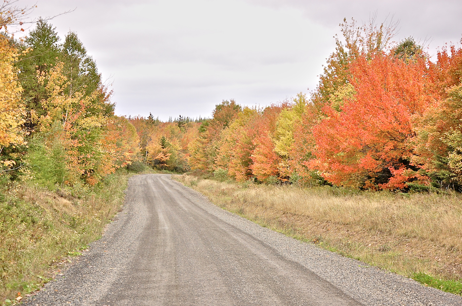 Upper Southwest Mabou Road